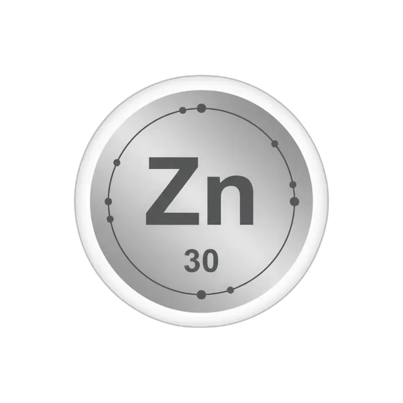 Zinco — minerale essenziale per la salute dei tessuti